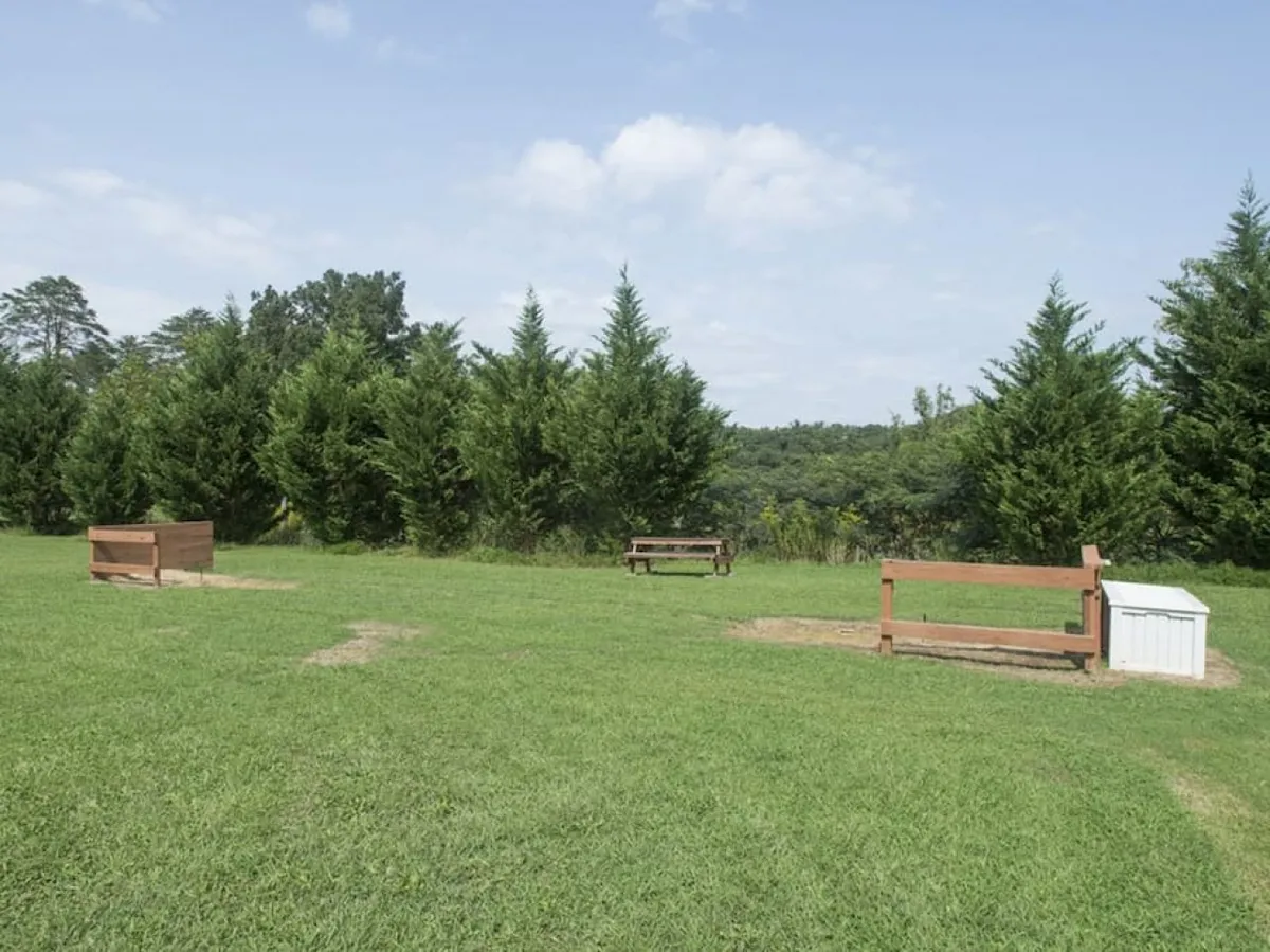 A tranquil exterior setting with benches set on lush green grass, framed by mature trees and an open sky. The mood is peaceful, inviting guests to relax, have a picnic, or enjoy scenic moments together.