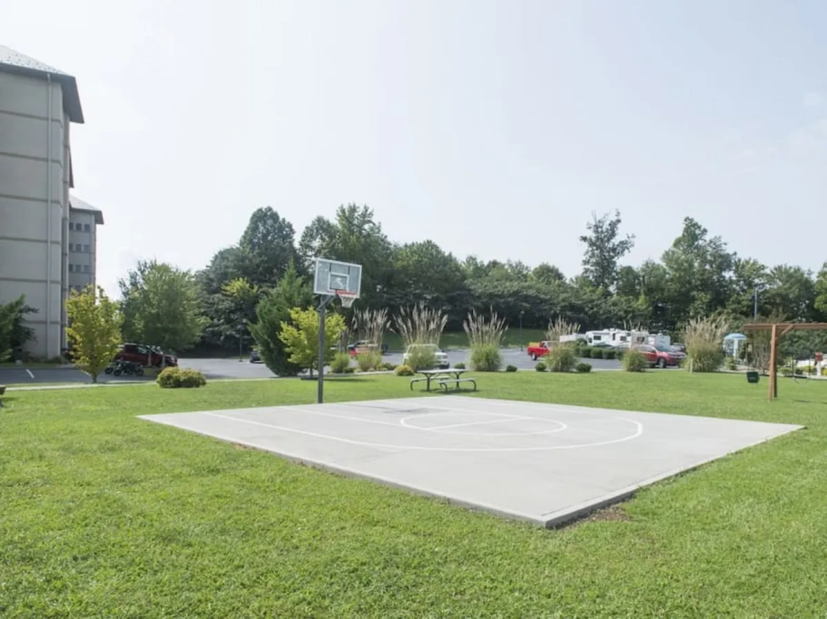 A lively outdoor scene featuring a basketball hoop and open court surrounded by green grass and tall trees. The area is spacious and bright, perfect for outdoor activities and group play.